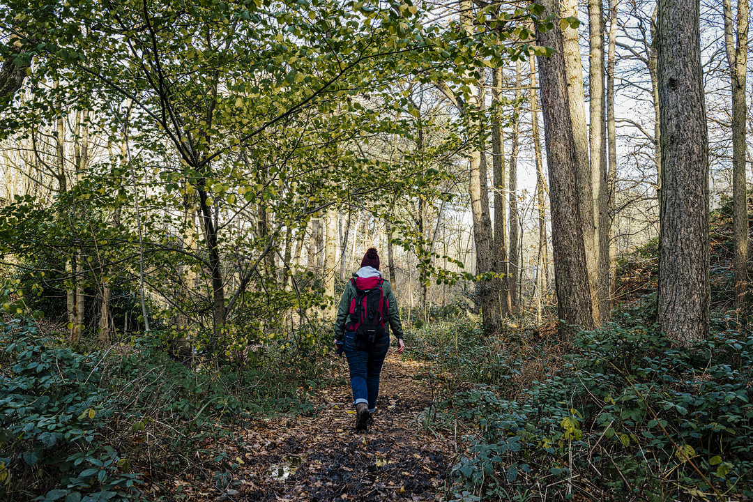 Portrait of a woman striding through a woodland