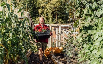 Ravenswick Farm – Where Every Carrot Deserves a Close Up